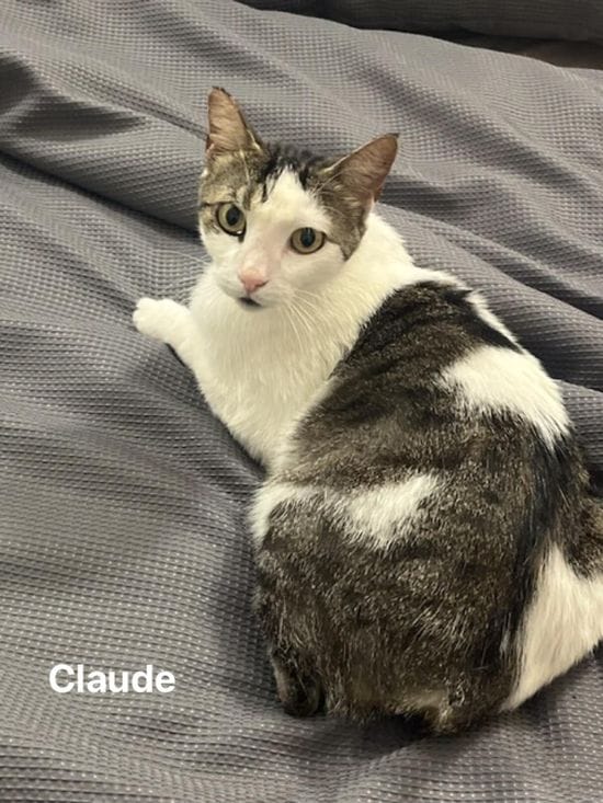 Claude